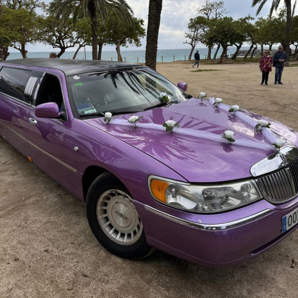 Wedding decorations | Jake Limousines Wedding decorations | Jake Limousines