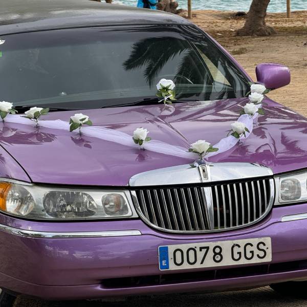 Wedding decorations | Jake Limousines Wedding decorations | Jake Limousines