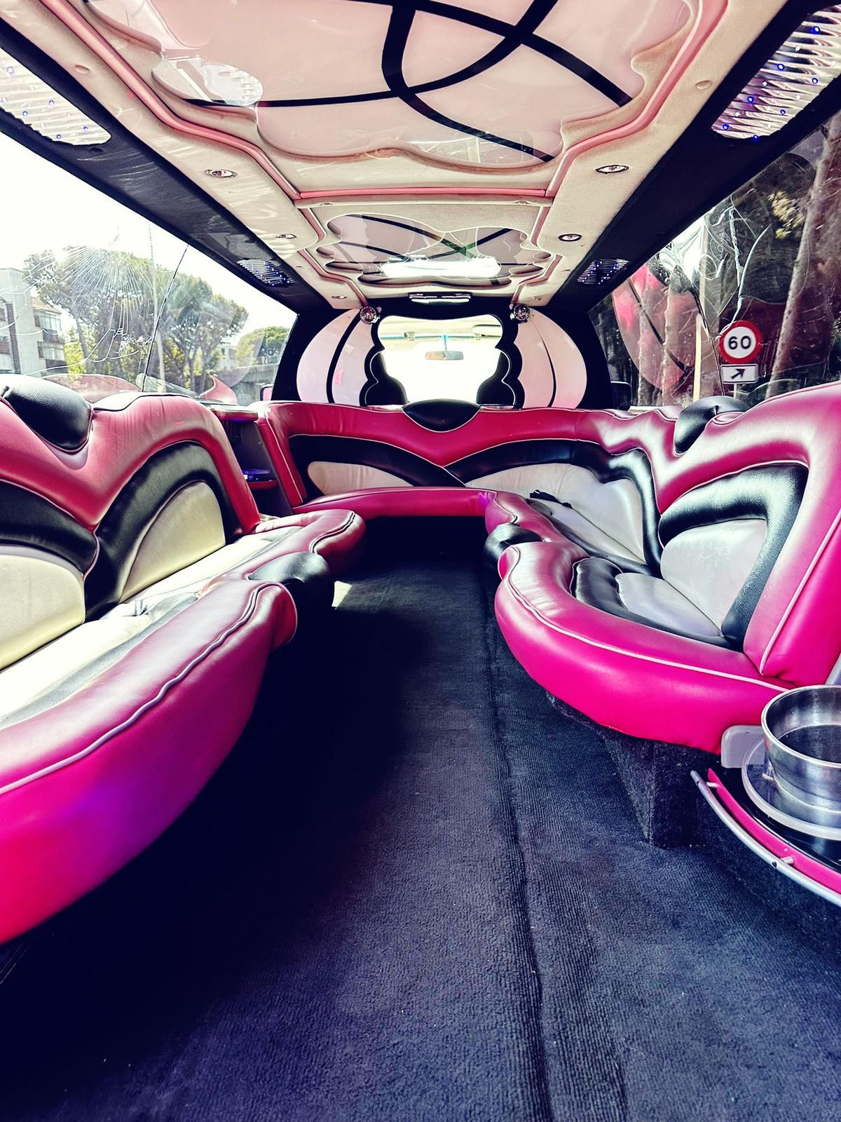 FORD EXPEDITION 12 PLACES (5) Location de limousines pour la Saint-Valentin