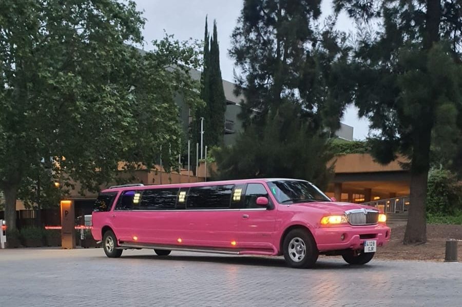 Ford Expedition Rosa